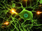 عکس سلول های نرون عصبی