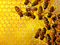 عکس زنبورهای عسل روی شانه