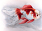 نقاشی ماهی قرمز اوراندا