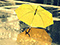 عکس چتر زرد دخترانه زیر باران