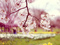 بهار 95 و شکوفه درختان