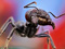 عکس بزرگ واقعی مورچه