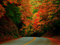 جاده پاییزی بسیار زیبا