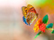 والپیپر زیبا از پروانه رنگارنگ روی گل