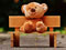 خرس عروسکی تدی