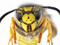 عکس نمای نزدیک زنبور زرد