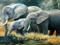 نقاشی خانواده فیل ها