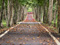 جاده خلوت پاییزی