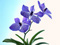 عکس شاخه گل ارکیده آبی