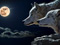 عکس گرگها شب مهتابی