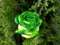 گل رز سبز تزئین شده مصنوعی