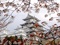 نمای زیبای خانه های اصیل ژاپنی