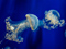 عروس دریایی کوچک و زیبا