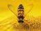 عکس زنبور عسل روی گل