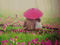 عکس رمانتیک دختر پسر در گلها