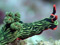 عکس حلزون دریایی سبز رنگ