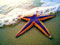 عکس ستاره دریایی بنفش زیبا