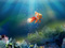 نقاشی ماهی قرمز زیر آب دریا