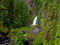 منظره طبیعت آبشار سرسبز زیبا