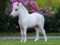 عکس کره اسب سفید خوشگل