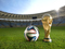 توپ و کاپ جام جهانی 2014