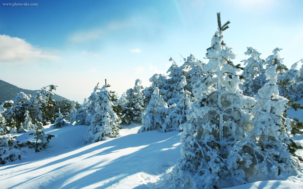 عکس های زیبای فصل زمستان