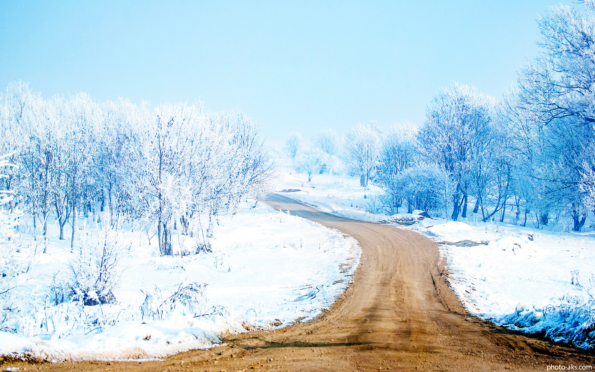 جدیدترین عکس های فصل زمستان