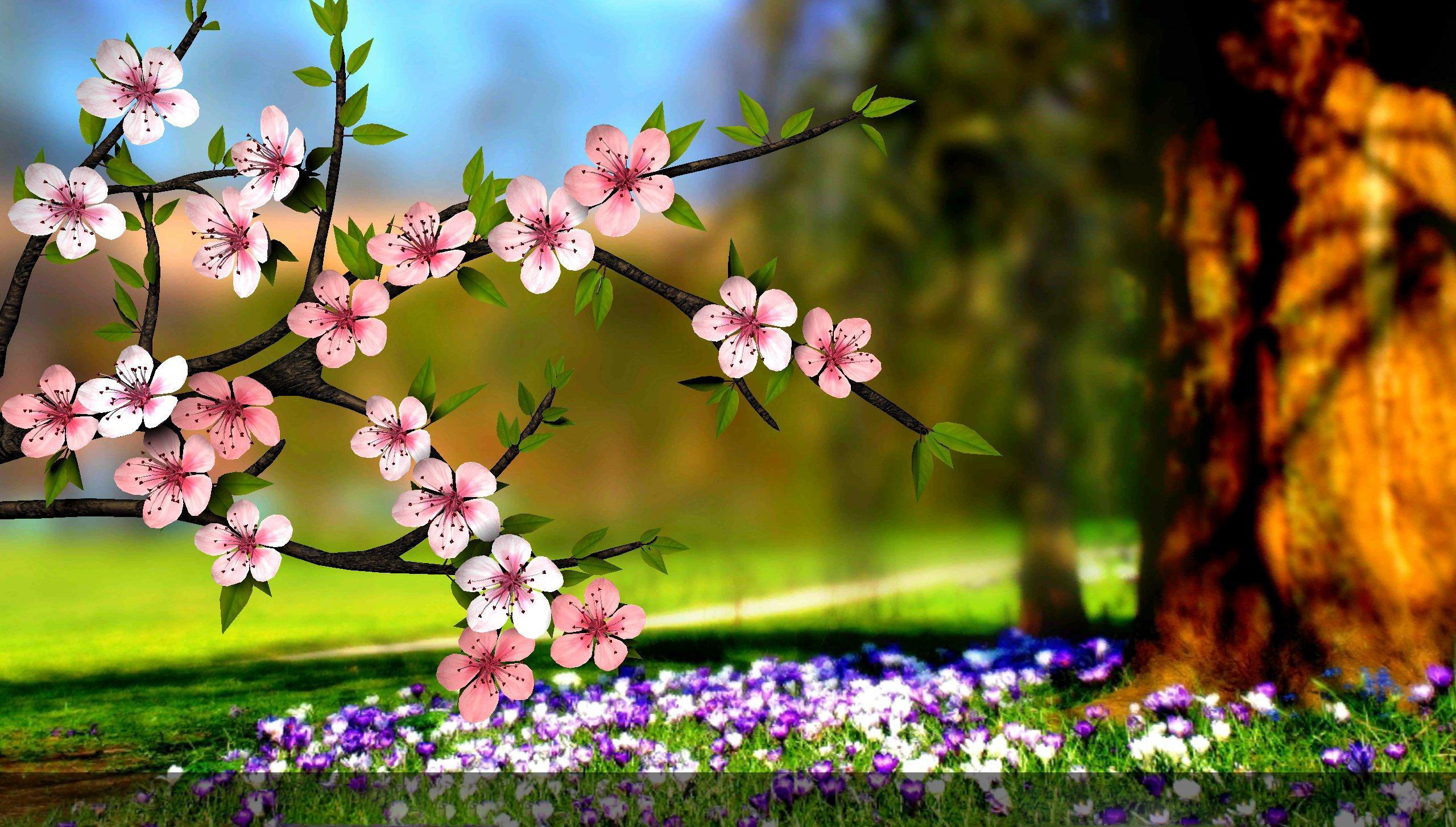 عکس طبیعت گل و شکوفه های بهاری زیبا در آغاز فصل بهار