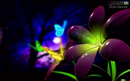 عکس گل و پروانه سه بعدی 3d viloet flower batterfly