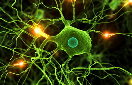 عکس سلول های نرون عصبی 3d neuron cells