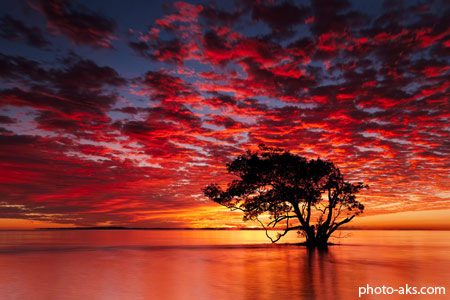 مناظر دیدنی از سواحل استرالیا australia beach sunrise