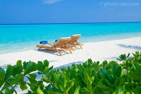 سواحل زیبای مالدیو beach maldives