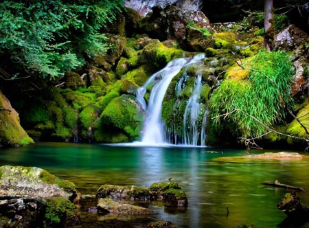 منظره زیبا از آبشار در طبیعت جنگل beautiful jungle nature waterfall