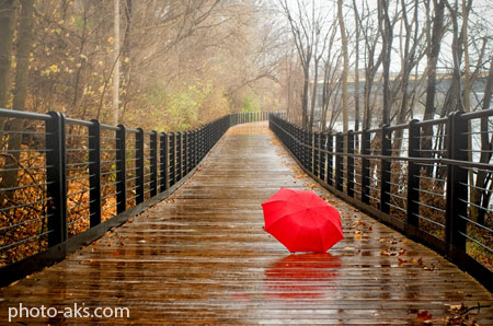 عکس پل خیس بارانی شاعرانه bridge red umbrella rain