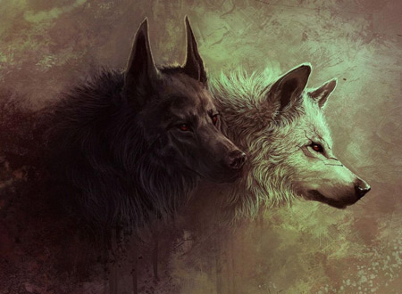 عکس گرگ سیاه و سفید در تاریکی dark wolves wallpaper