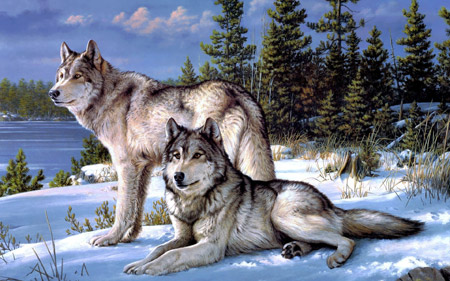 عکس نقاشی گرگ ها در زمستان wolves in winter