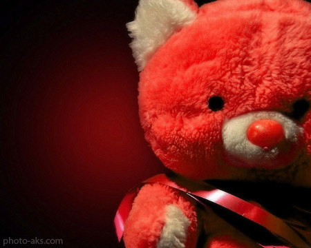 پوستر زیبای عروسک تدی صورتی pink teddy bear