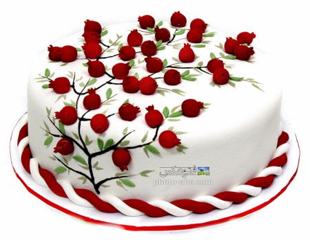 مدل کیک خامه ای با تزئین زیبا Pomegranate cake