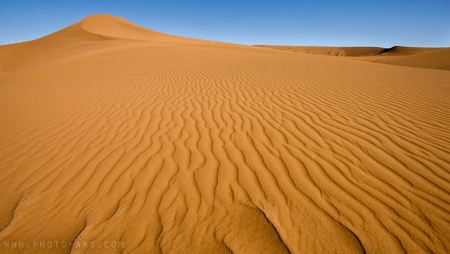شن زار در بیابان Sand Dune