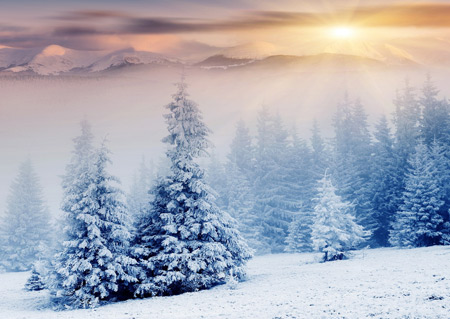 زیباترین مناظر زمستانی 94 snow winter wallpaper