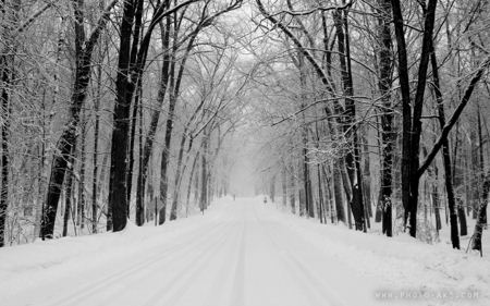 جاده برفی Snowy Road