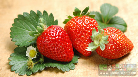 توت فرنگی strawberry fruit