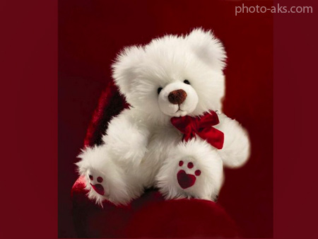 خرس عروسکی پشمالو سفید sweet bear teddy