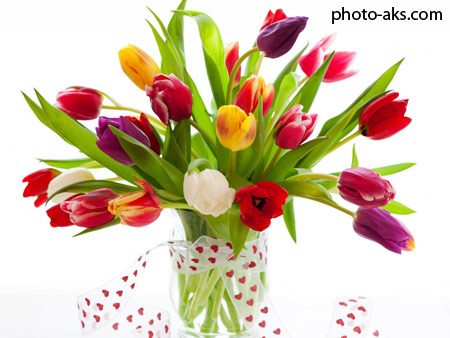 دسته گل لاله tulipes in vase
