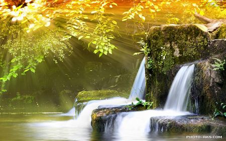 منظره آبشار زیبا در جنگل watterfall nature in jungle