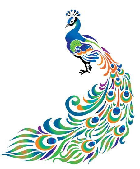 نقاشی مینیاتوری پرنده طاووس aks miniatori tavoos