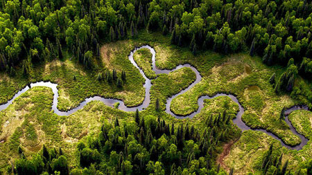 رودخانه پر پیچ و خم amazon river wallpaper