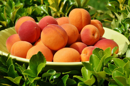 عکس ظرف میوه زردآلو apricots fruit ripe grass