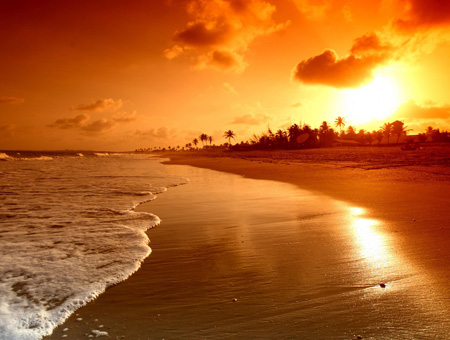 منظره زیبا غروب طلائی در ساحل beautiful golden sunset