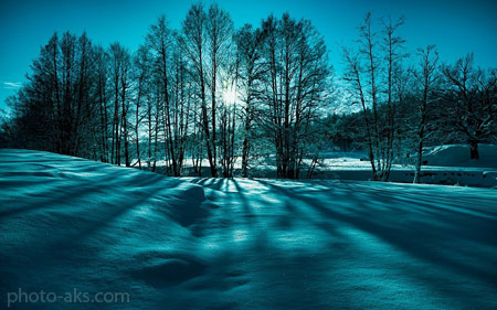 منظره رویایی و فیروزه ای زمستانی beauty snow tree winter